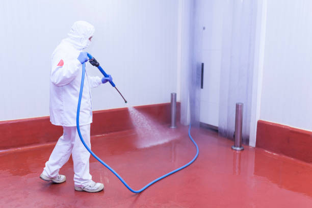 Best Graffiti Removal  in Pacific, MO